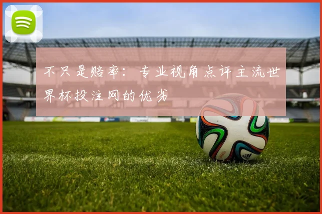 不只是赔率：专业视角点评主流世界杯投注网的优劣